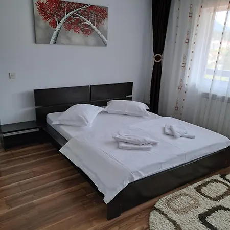 Guest house Drag De Munte Predeal