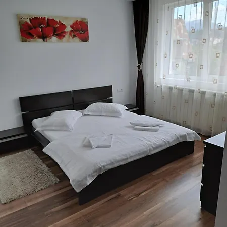 Drag De Munte Guest house Predeal